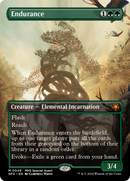 Endurance (Borderless) - Special Guests