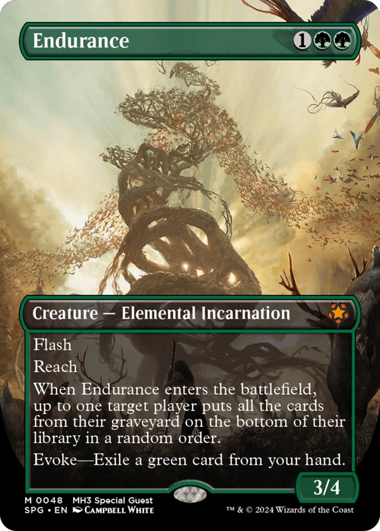 Endurance (Borderless) - Special Guests