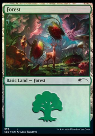 Forest (578) (SLD-578) - Secret Lair Drop Foil