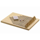 The Racing Horse Game