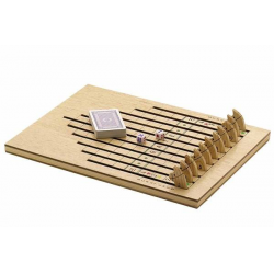 The Racing Horse Game