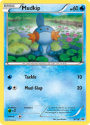 Mudkip - XY38/211 - XY Promos Holofoil