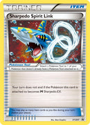 Sharpedo Spirit Link/211 - XY Promos