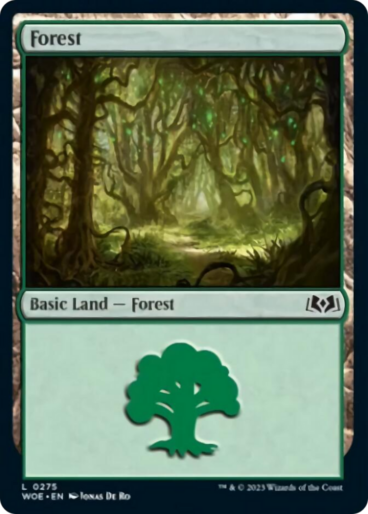 Forest (0275) (WOE-275) - Wilds of Eldraine