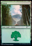 Forest (577) (SLD-577) - Secret Lair Drop Foil