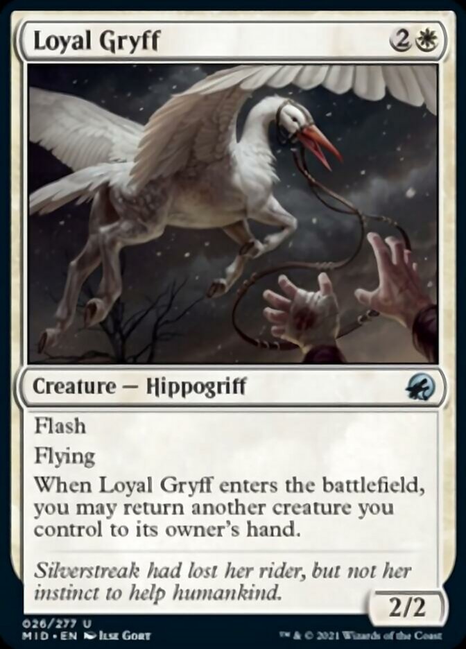 Loyal Gryff (MID-026) - Innistrad: Midnight Hunt