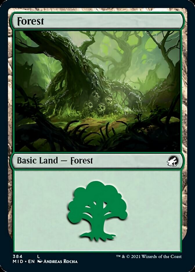 Forest (384) (MID-384) - Innistrad: Midnight Hunt