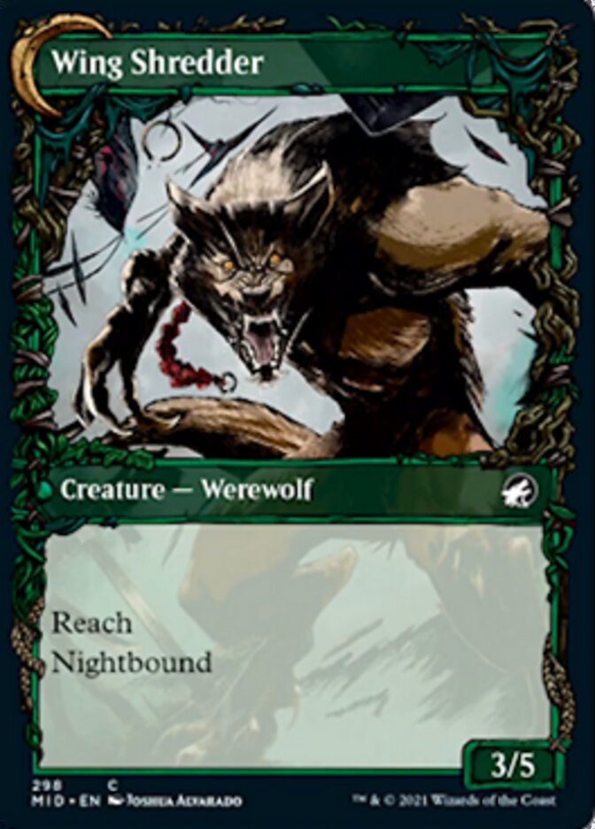 Bird Admirer (Showcase) (MID-298) - Innistrad: Midnight Hunt: (Showcase, Double Faced Transform)