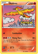 Moltres (Prerelease)/211 - XY Promos Holofoil