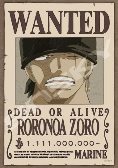 One Piece Zoro 208Pc Puzzle