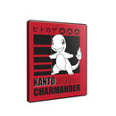 4 Pocket Portfolio Kanto Charmander