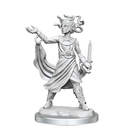 Frameworks Medusa Wave 2