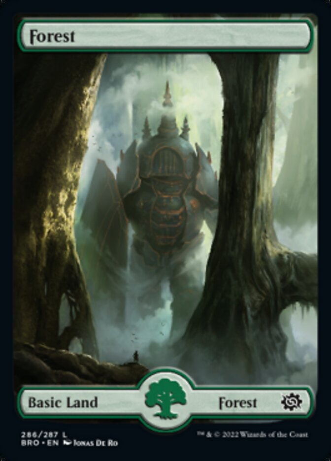 Forest (286) - Full Art (BRO-286) - The Brothers' War