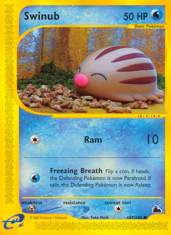 Swinub (107) - 107/144 Skyridge - Common