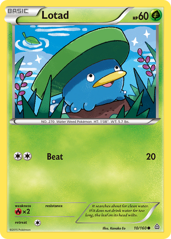 Lotad 10/160 - XY  Primal Clash