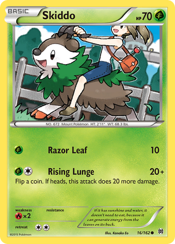 Skiddo 16/162 - XY  BREAKthrough