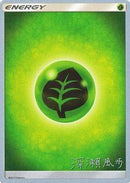 Grass Energy - 2017 (Kabu Fukase) - World Championship Decks