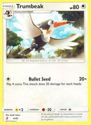 Trumbeak - SM Trainer Kit Lycanroc & Alolan Raichu