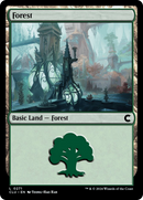 Forest (0271) (CLU-271) - Ravnica: Clue Edition