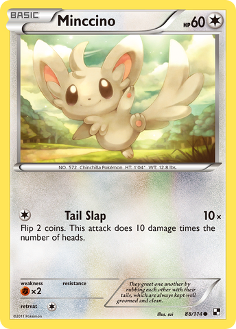 Minccino 88/114 - Black and White