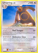 Ursaring/123 - Mysterious Treasures