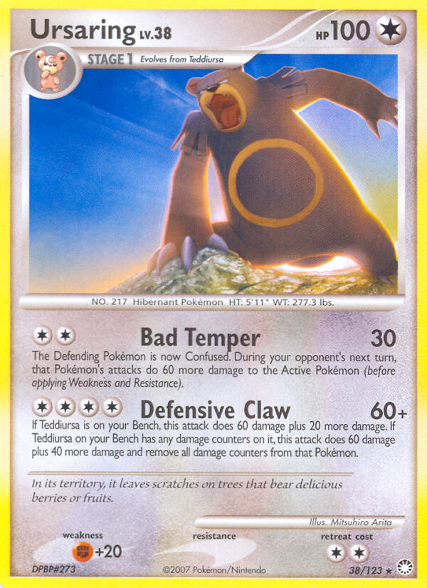 Ursaring/123 - Mysterious Treasures
