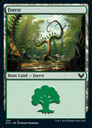 Forest (374) (STX-374) - Strixhaven: School of Mages