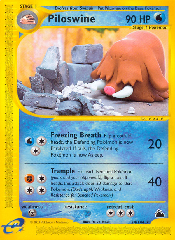 Piloswine (24) - 24/144 Skyridge - Rare