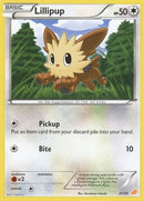 Lillipup (