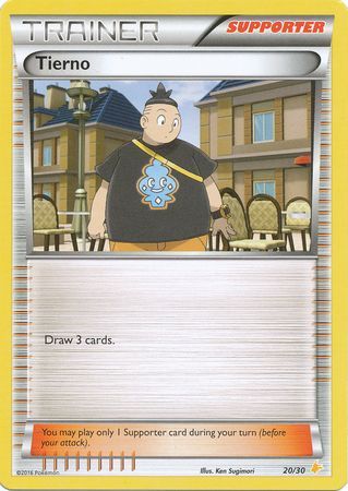 Tierno (20 - Pikachu Libre Deck) - XY Trainer Kit Pikachu Libre & Suicune