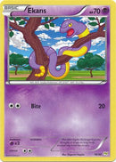 Ekans - XY Trainer Kit Sylveon & Noivern