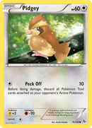 Pidgey 75/106 - XY  Flashfire