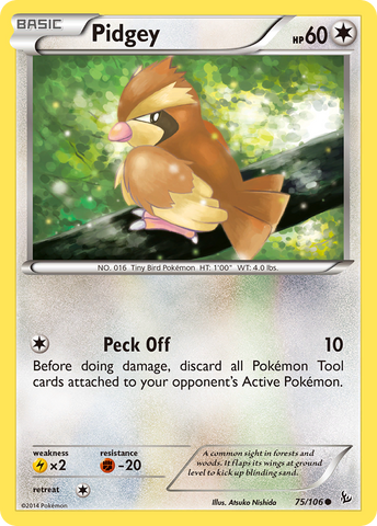 Pidgey 75/106 - XY  Flashfire