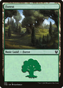 Forest (286) (THB-286) - Theros Beyond Death