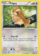 Pidgey (