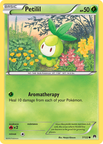 Petilil 7/122 - XY  BREAKpoint