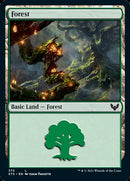 Forest (375) (STX-375) - Strixhaven: School of Mages