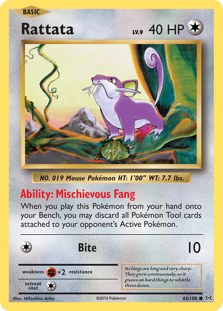 Rattata 66/108 - XY  Evolutions