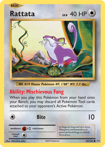 Rattata 66/108 - XY  Evolutions