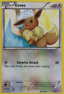 Eevee (13) - XY Trainer Kit Sylveon & Noivern