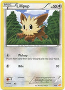 Lillipup (