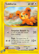 Teddiursa - 109/144 Skyridge - Common