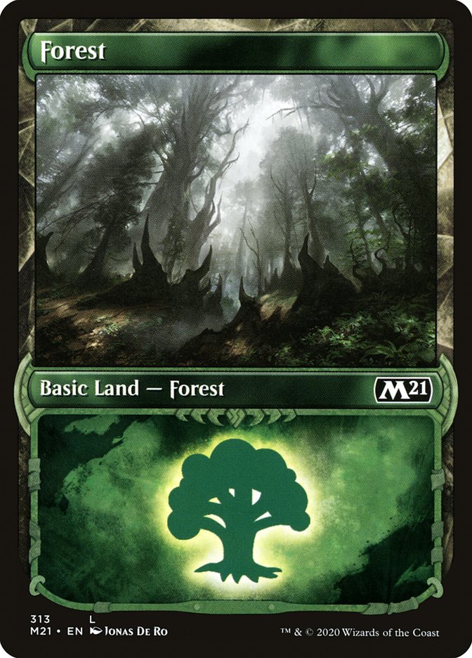 Forest (Showcase) (M21-313) - Core Set 2021: (Showcase)