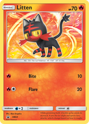 Litten - SM23/248 - SM Promos Holofoil
