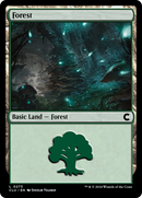 Forest (0273) (CLU-273) - Ravnica: Clue Edition