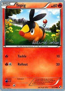 Tepig - 2011 (David Cohen) 15 - World Championship Decks
