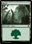 Forest (0272) (CLU-272) - Ravnica: Clue Edition