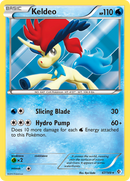 Keldeo (47)/149 - Boundaries Crossed Holofoil