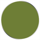 P3 Ordic Olive - PIP93036