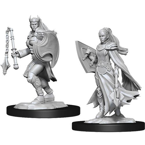 Female Kalashtar Cleric Wave 14